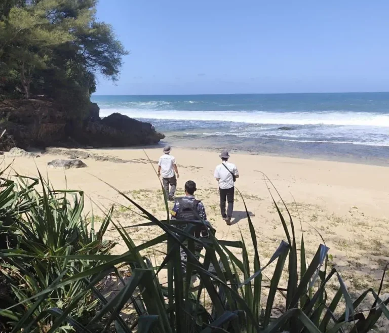 Usai Dihantam Gelombang Tinggi, Warga Pantai Ngandong Temukan 63 Tukik Penyu Lekang dan Langsung Melepasliarkan ke Laut