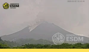 Dua Kali Awan Panas Gunung Merapi Terjadi dalam Selang Menit, Warga Diminta Waspada Penuh